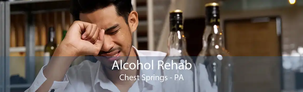 Alcohol Rehab Chest Springs - PA