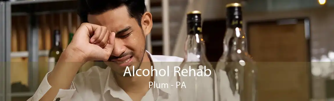 Alcohol Rehab Plum - PA