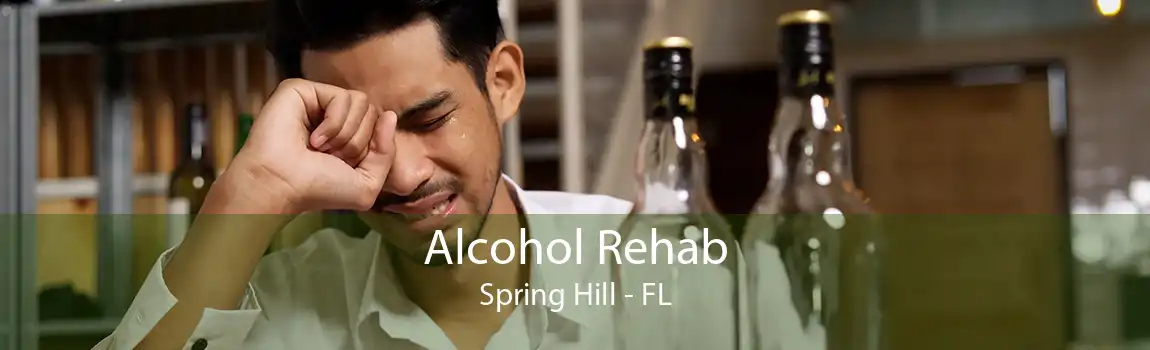 Alcohol Rehab Spring Hill - FL