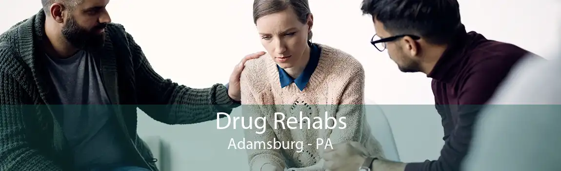 Drug Rehabs Adamsburg - PA