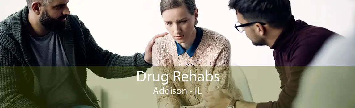 Drug Rehabs Addison - IL