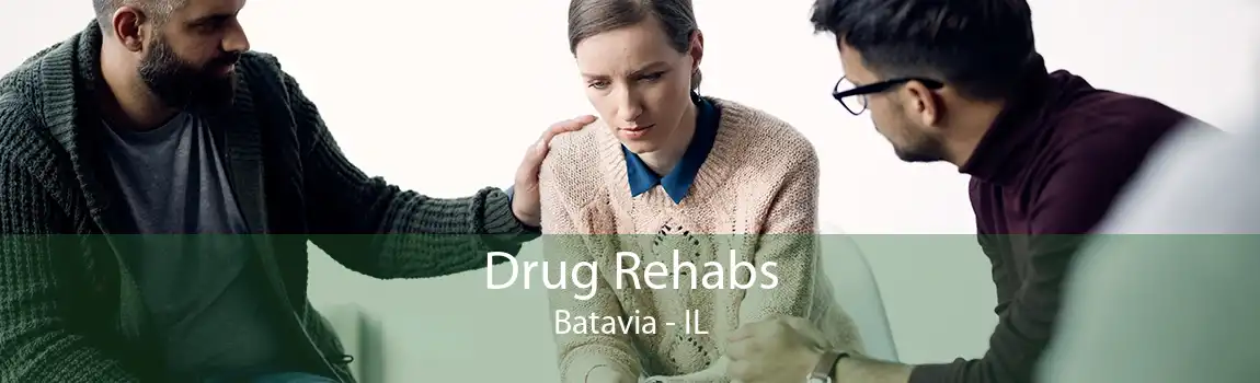 Drug Rehabs Batavia - IL