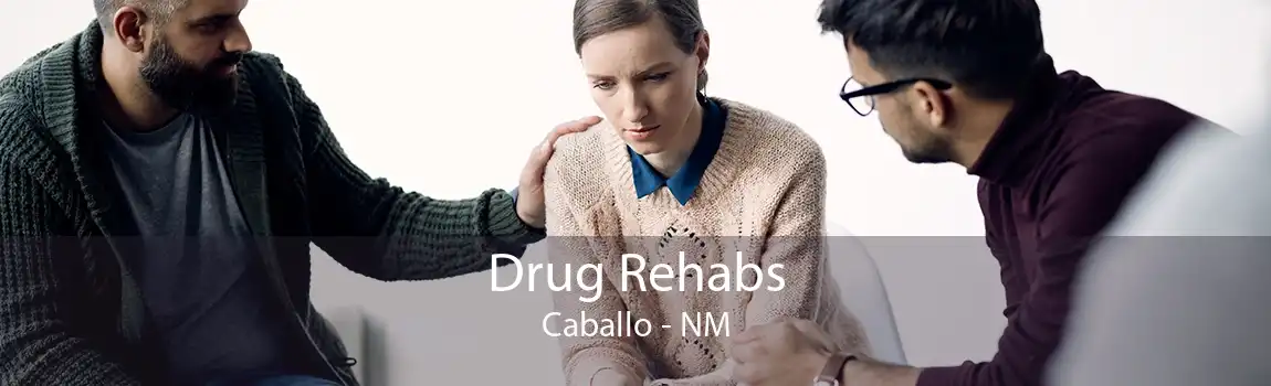Drug Rehabs Caballo - NM