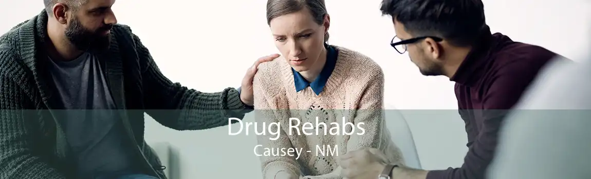 Drug Rehabs Causey - NM
