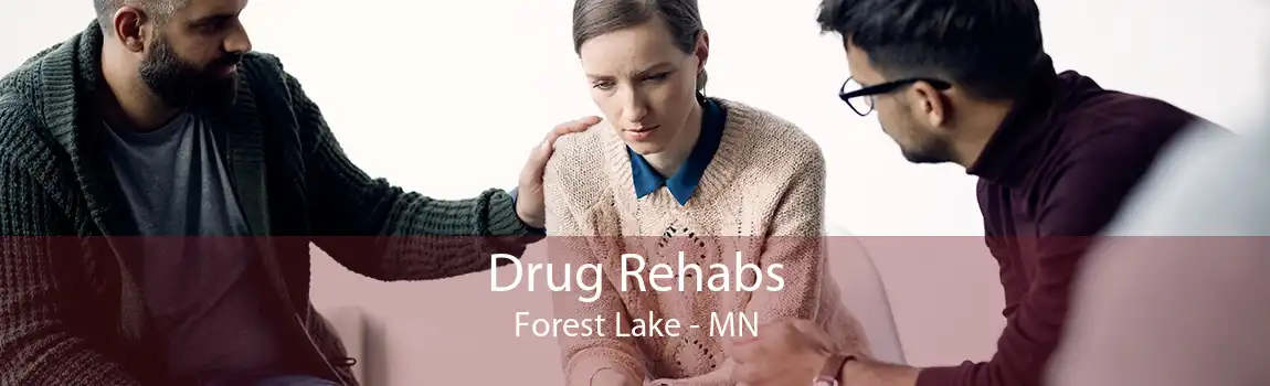 Drug Rehabs Forest Lake - MN
