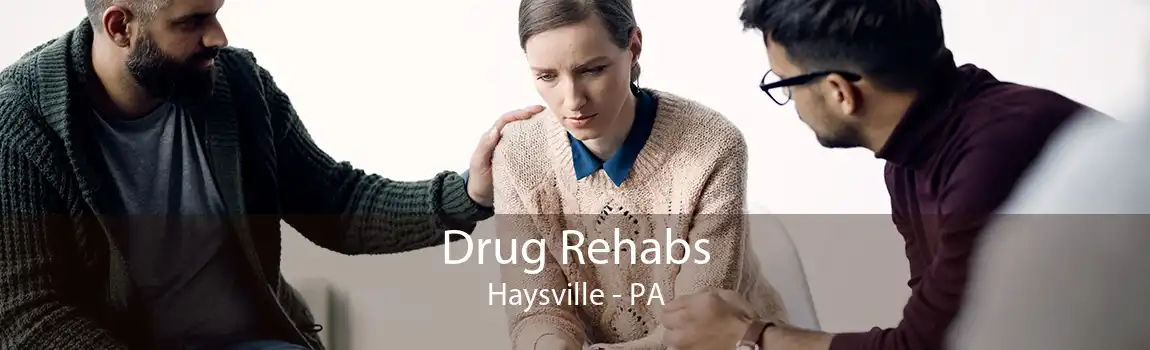 Drug Rehabs Haysville - PA