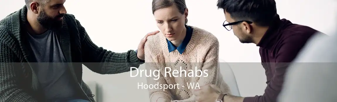 Drug Rehabs Hoodsport - WA