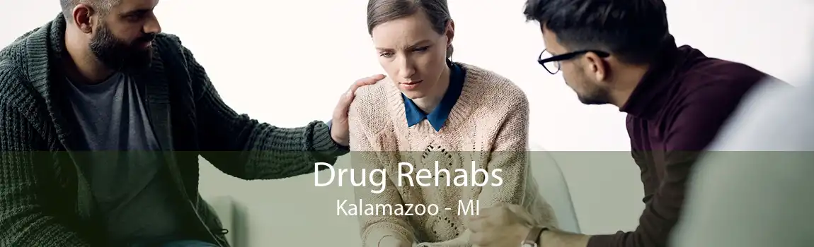 Drug Rehabs Kalamazoo - MI