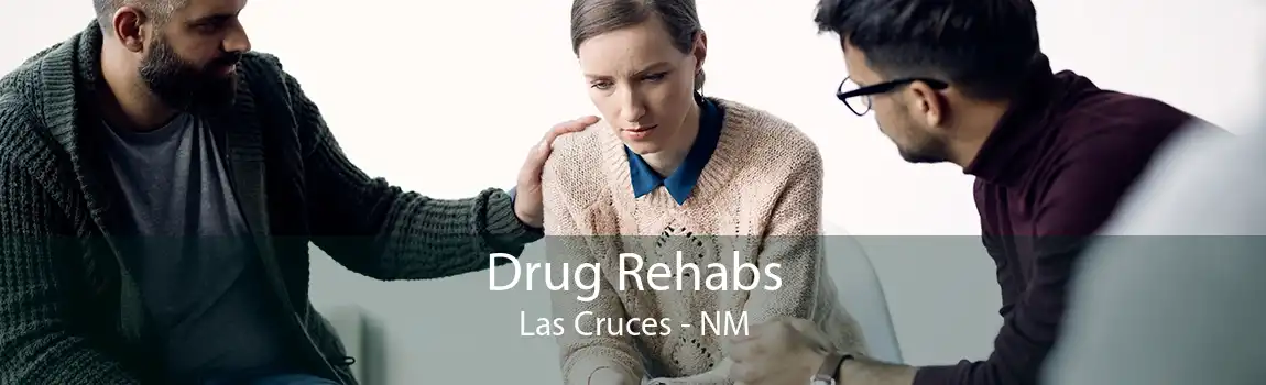 Drug Rehabs Las Cruces - NM