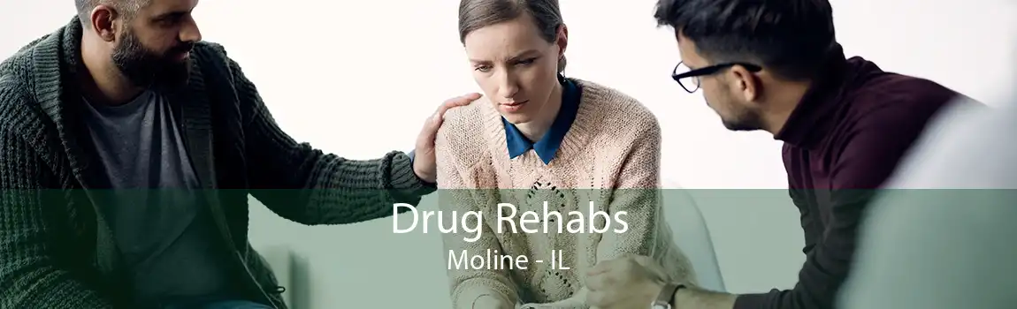 Drug Rehabs Moline - IL