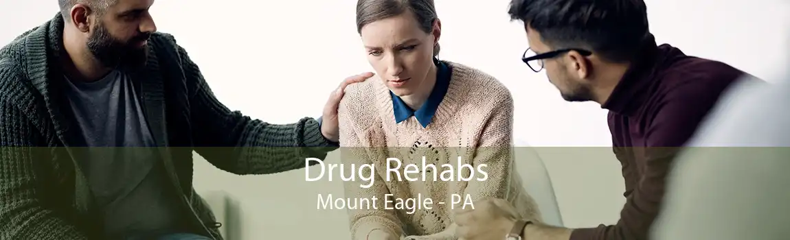 Drug Rehabs Mount Eagle - PA
