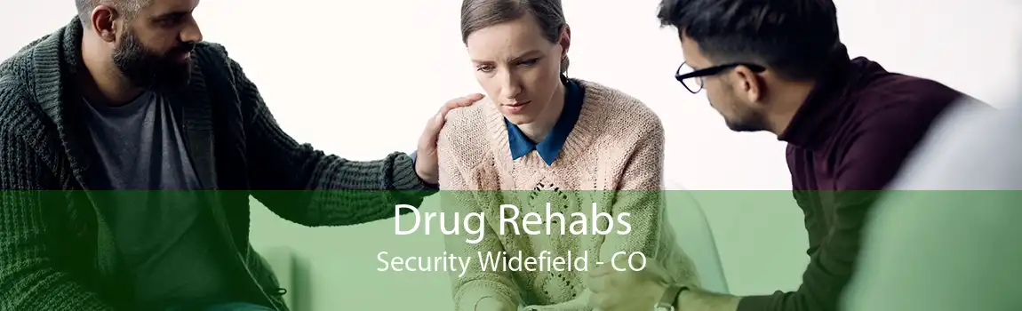 Drug Rehabs Security Widefield - CO