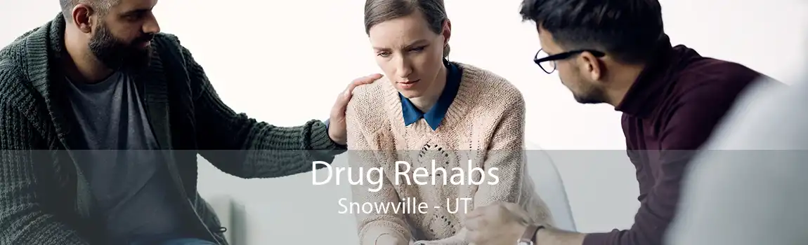 Drug Rehabs Snowville - UT