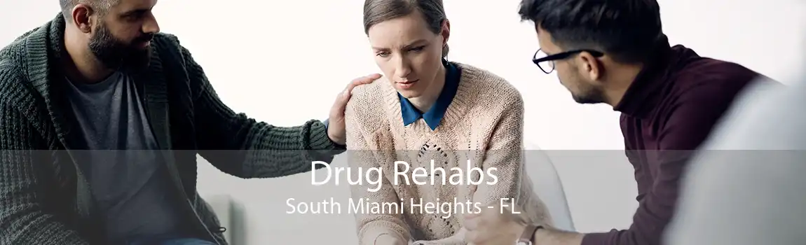 Drug Rehabs South Miami Heights - FL