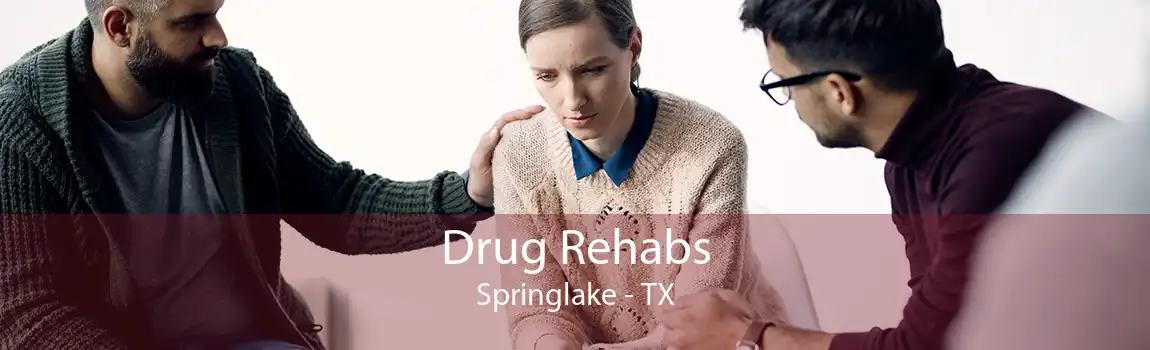Drug Rehabs Springlake - TX
