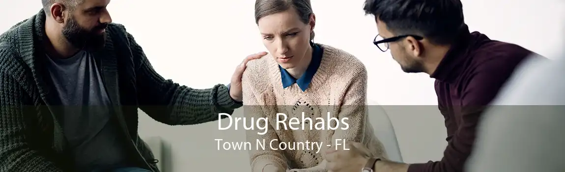 Drug Rehabs Town N Country - FL