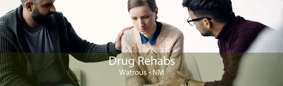Drug Rehabs Watrous - NM