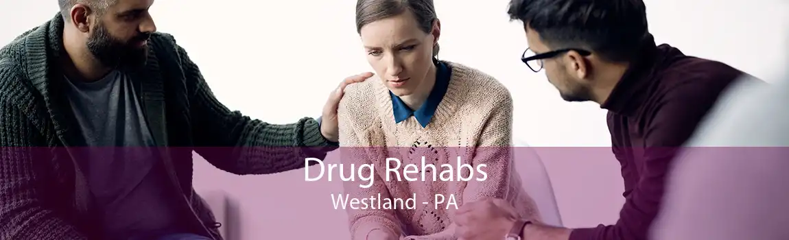 Drug Rehabs Westland - PA