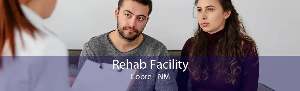 Rehab Facility Cobre - NM