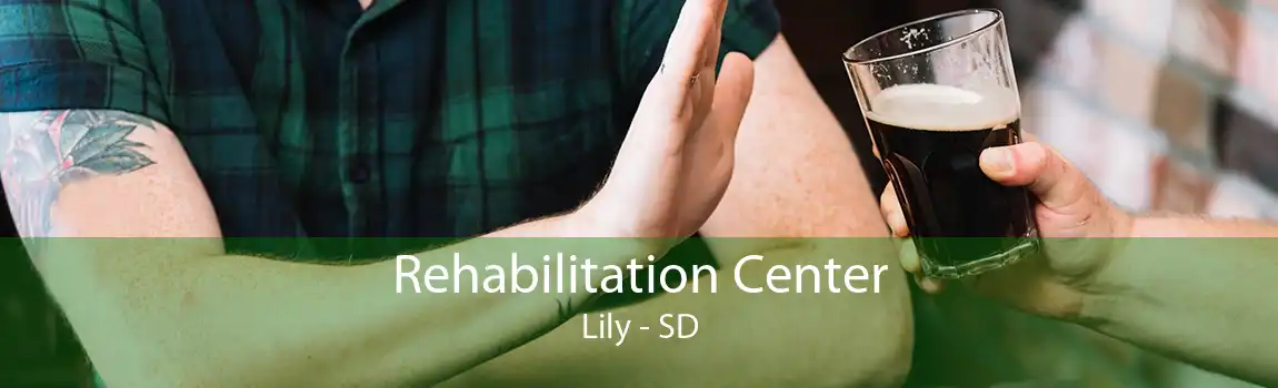 Rehabilitation Center Lily - SD